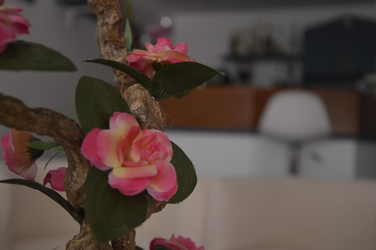 Hotel Fucsia Ричоне Екстериор снимка